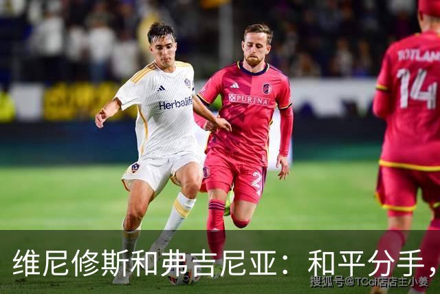 维尼修斯和弗吉尼亚：和平分手，爱情不是战争